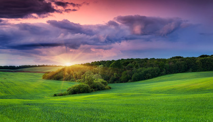 Fotobehang Zomer Kleurrijk tarweveld onder dramatische lucht  © Andrew Mayovskyy