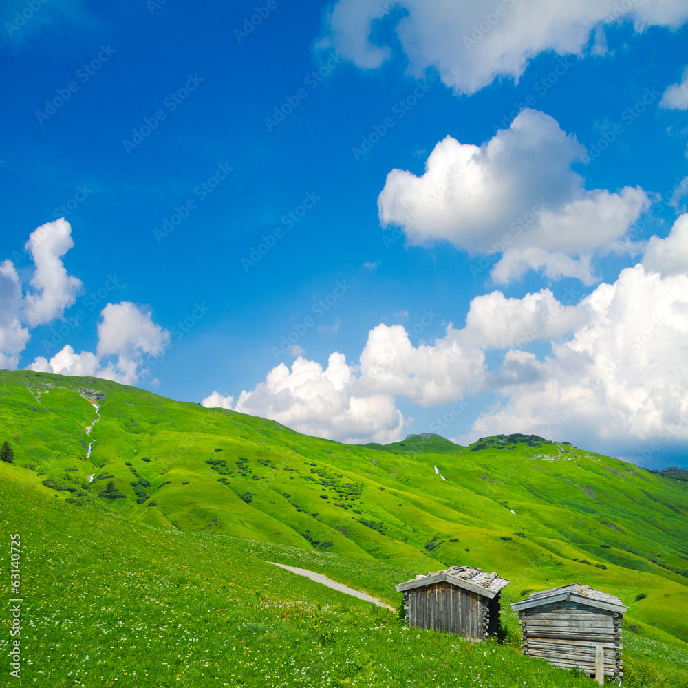 Auf der Alm Auf der Alm