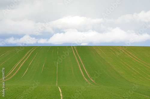 champs sous un ciel gris © Image'in