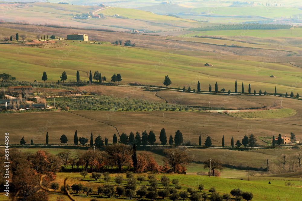 Fototapeta premium Tuscany Hills