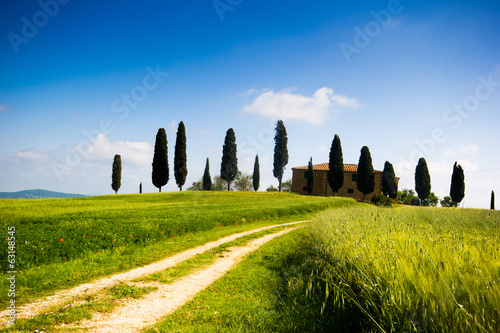 Tuscany  cypress trees and farmhouse  meadow