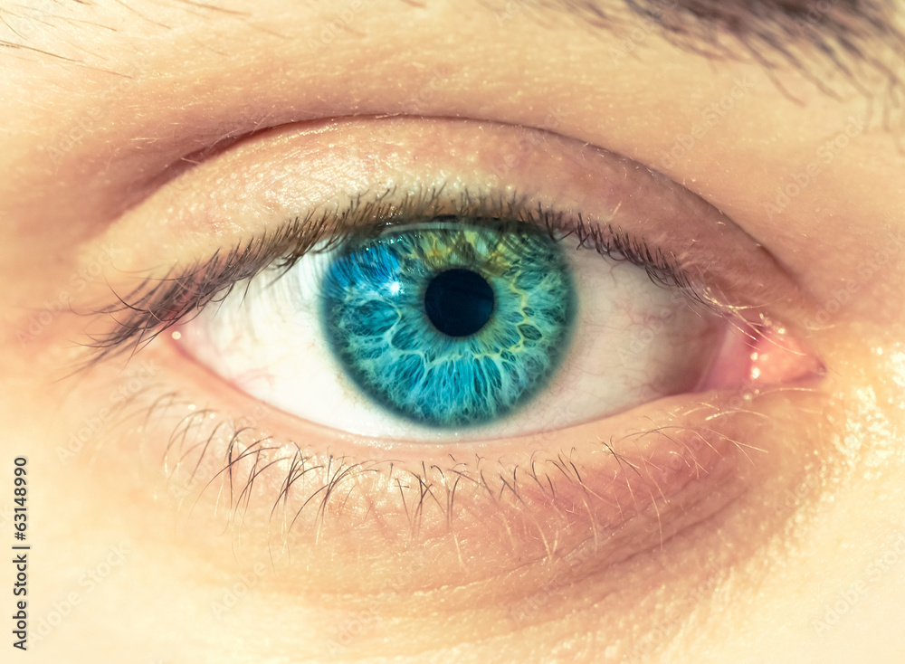 Macro image of human eye Macro image of human eye