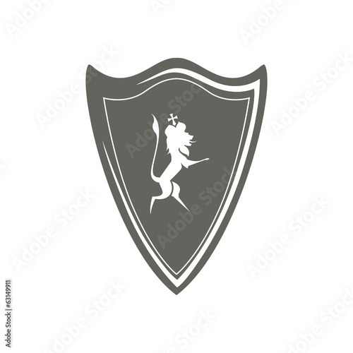 Shield