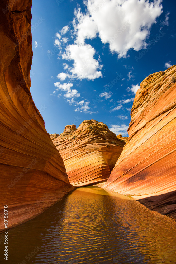 The Wave, Arizona - Paria Canyon Vermillion Cliffs