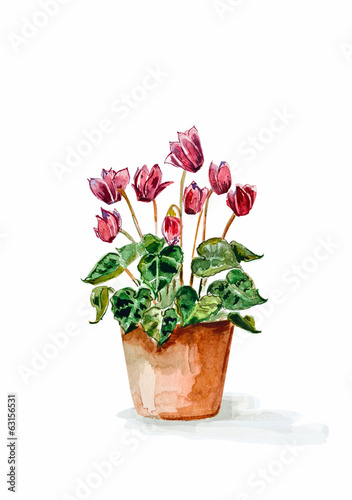 home flowers in a vase. watercolor