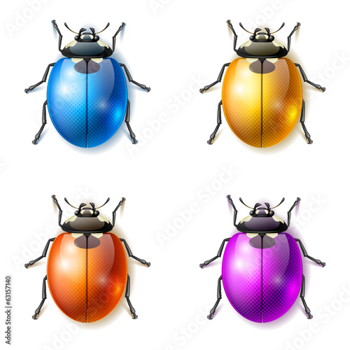 Set of multicolored fictional beetles, beetle vector icons © rustamank