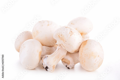 raw mushrooms isolated
