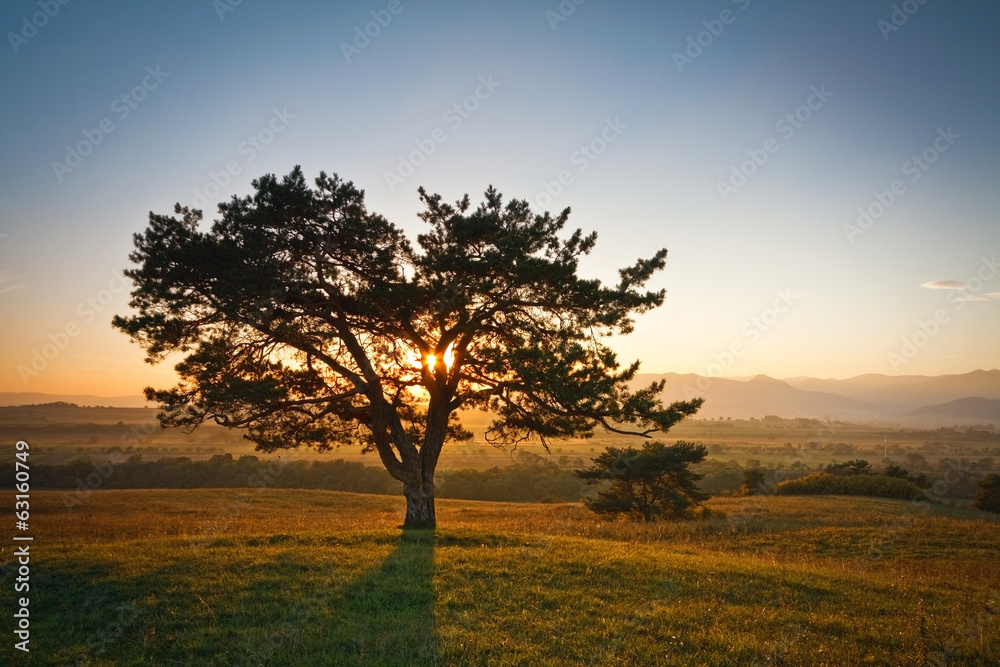 Slovak countryside.