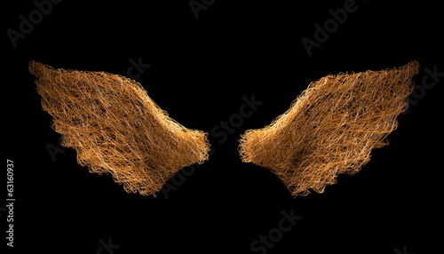 wings