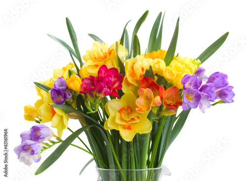 Fototapeta Naklejka Na Ścianę i Meble -  freesia and daffodil  flowers close up