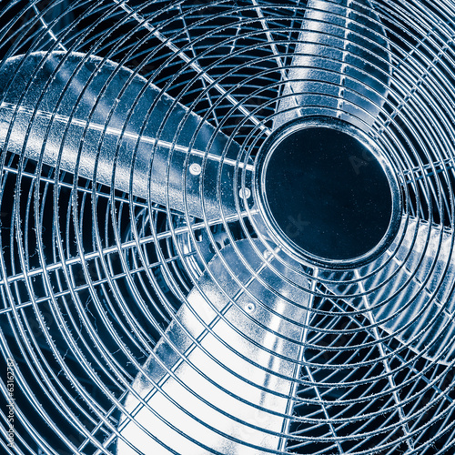 Wallpaper Mural Domestic fan Torontodigital.ca