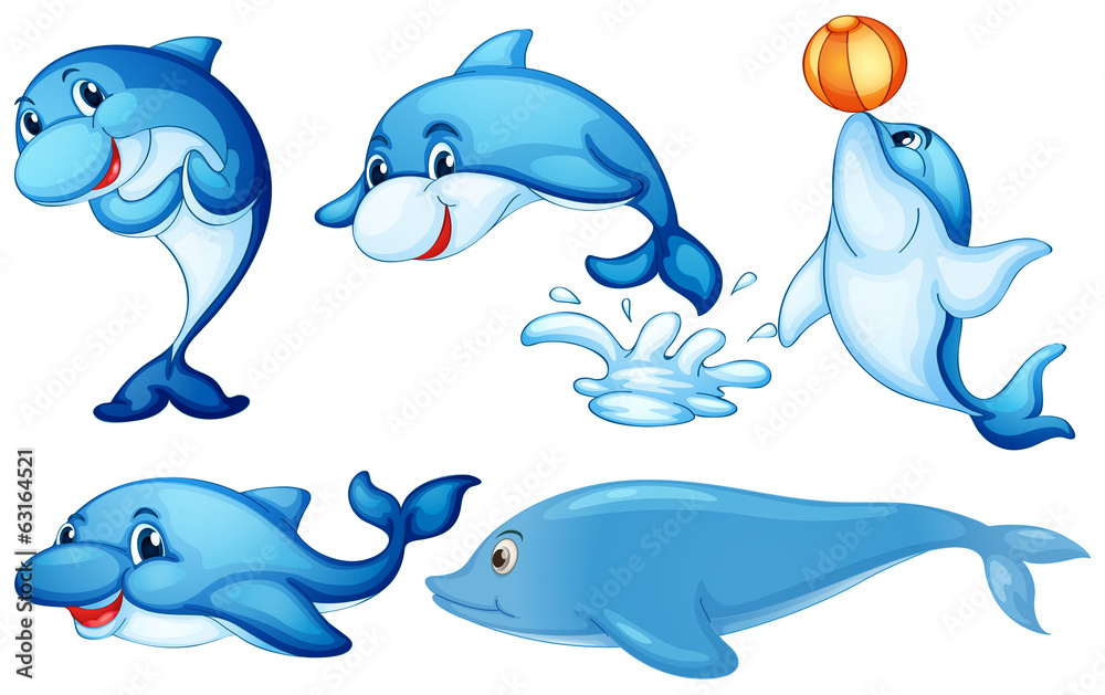 Obraz premium Playful dolphins