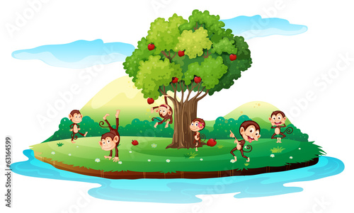 An island with playful monkeys