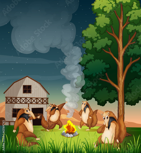 Playful wild animals making a campfire