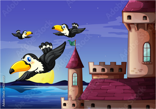 Birds near the castle