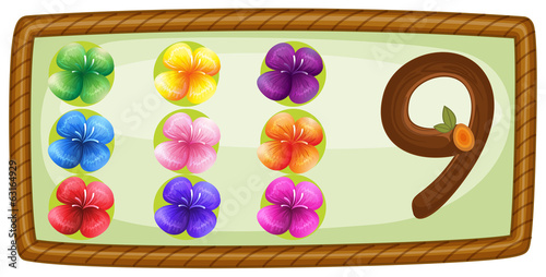 A frame with nine flowers