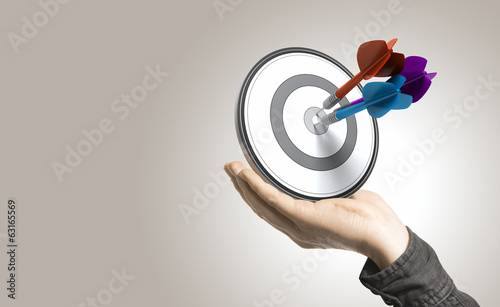 Effective Solutions and Control Concept