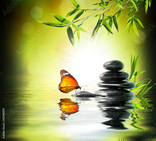 exclusive delicate concept - butterfly on water in garden