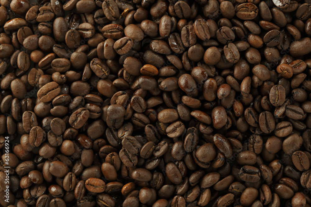 Fototapeta premium コーヒー豆 Coffee beans