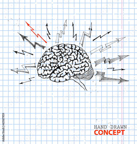 Brain of human