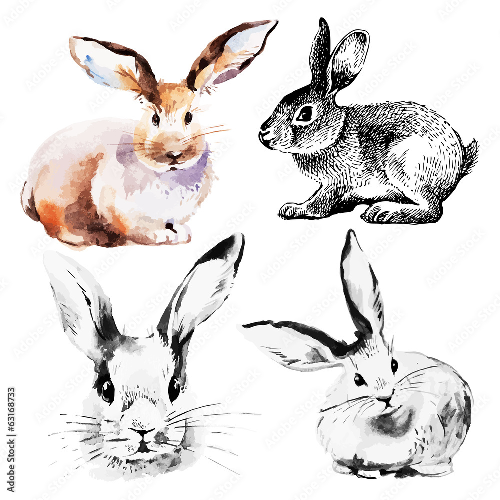 Obraz premium Set of Easter rabbits. Hand drawn sketch watercolor