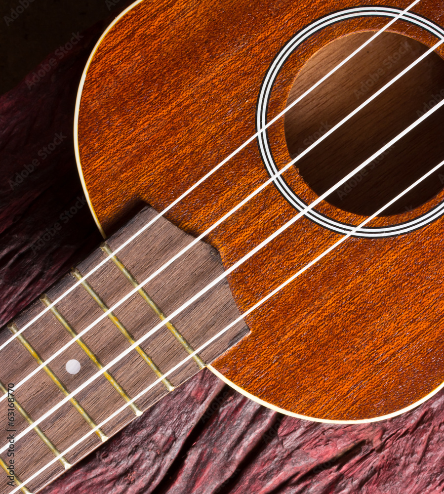 Obraz premium ukulele on wood background