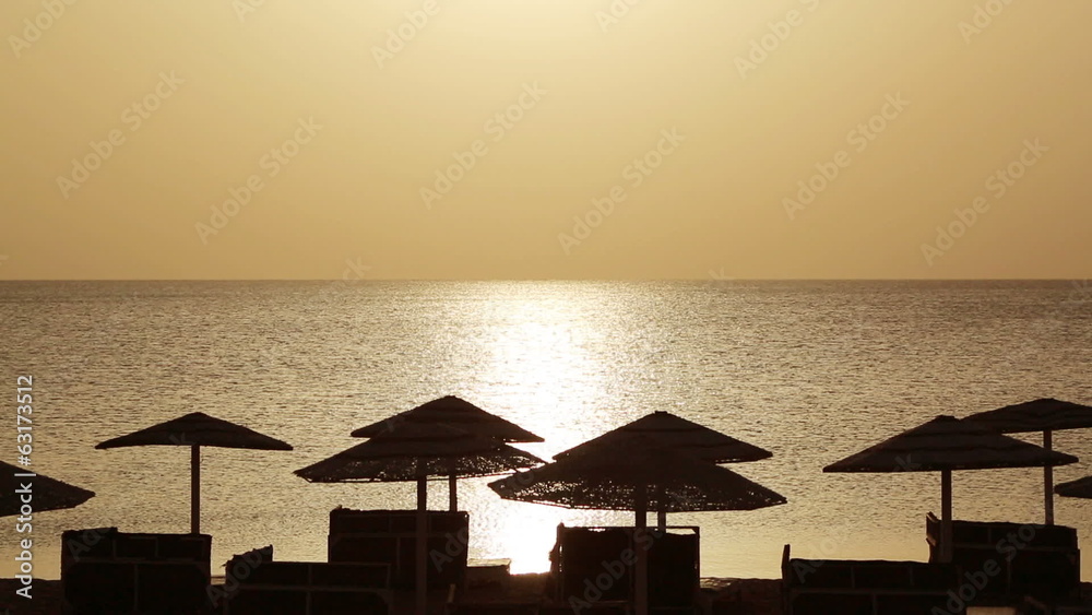 beautiful landscape with palms and sunrise over sea beautiful landscape with palms and sunrise over sea