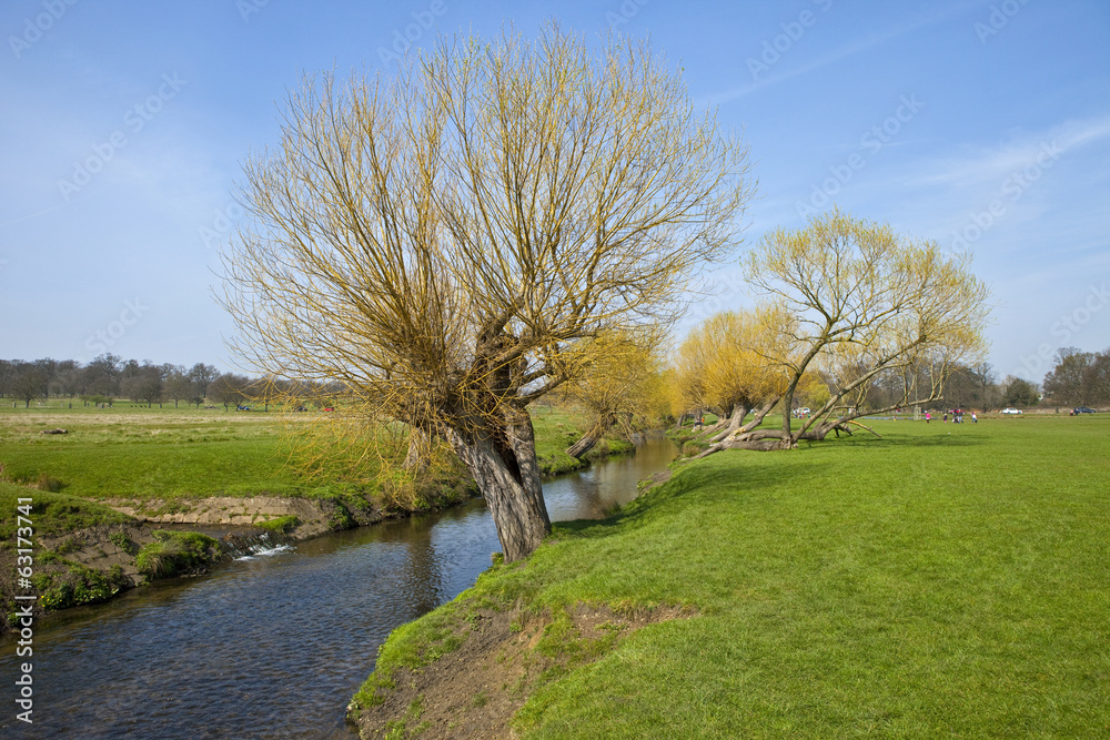 Obraz premium Richmond Park