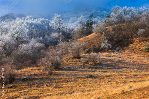 Obraz na plátně Early autumn morning in the mountains, the slope at the top is covered with hoarfrost and fog