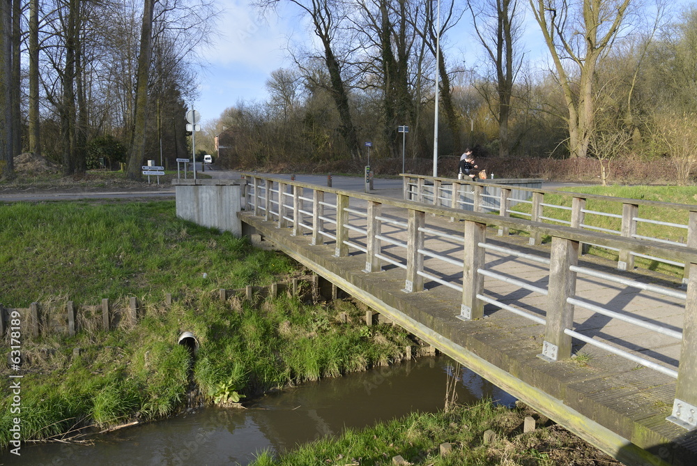 Fototapeta premium Pont au dessus du Pede