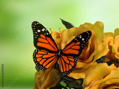 Closeup of butterfly on flower blossom #63178178