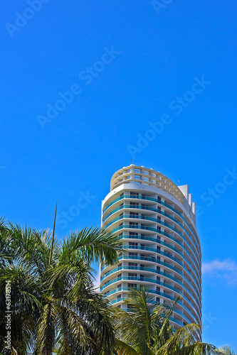 Residential skyscraper and palm trees against bright blue sky. © avmedved