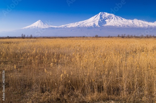 Ararat mount