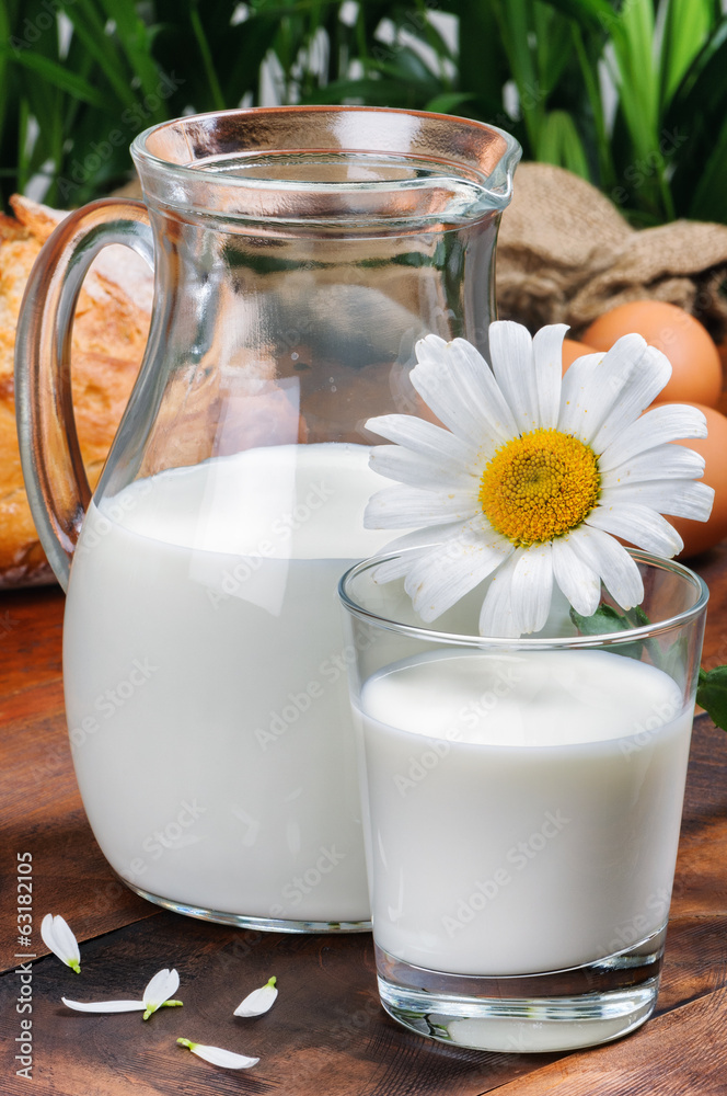 Pitcher of fresh milk with daisy Pitcher of fresh milk with daisy