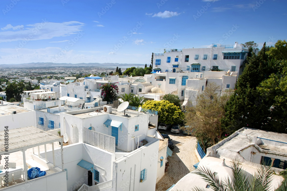 Fototapeta premium Widok na Sidi Bou Said