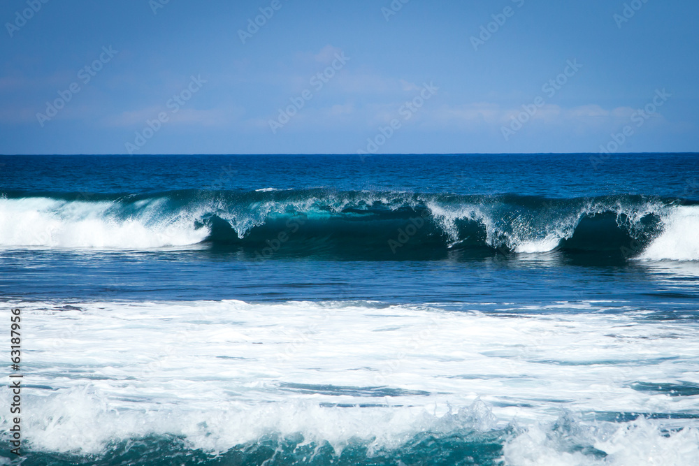 Shore Break Beautiful Ocean Wave in Hawaii
