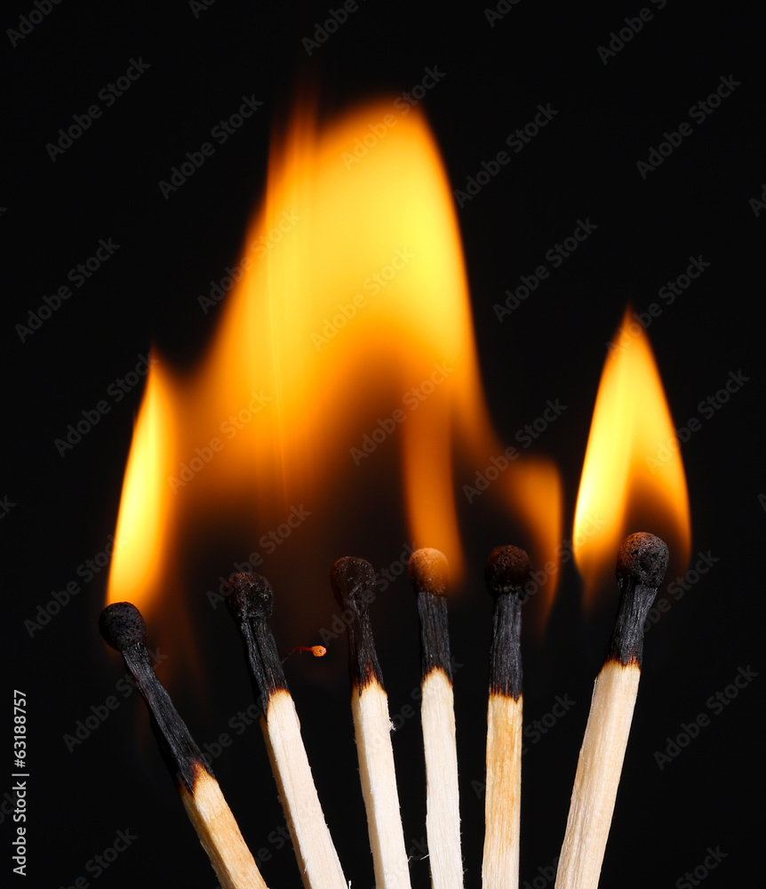 Burning matches isolated on black Burning matches isolated on black
