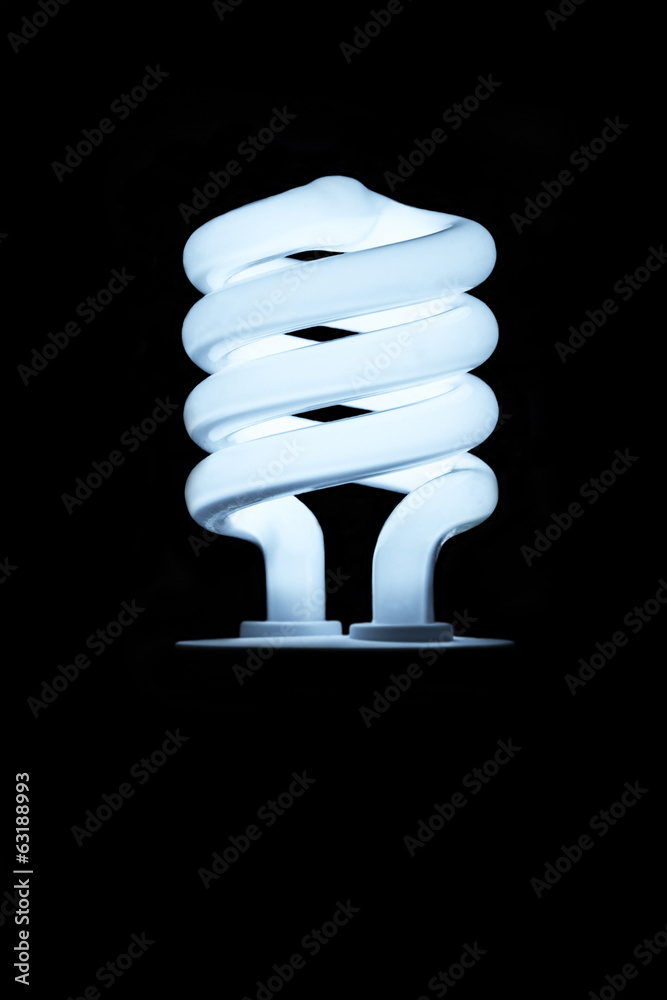 Fluorescent Light Bulb Fluorescent Light Bulb