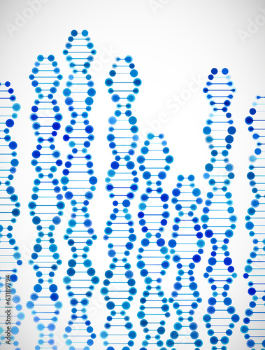 beautiful structure of the DNA molecule