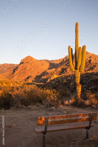 Wallpaper Mural Catalina State Park Torontodigital.ca