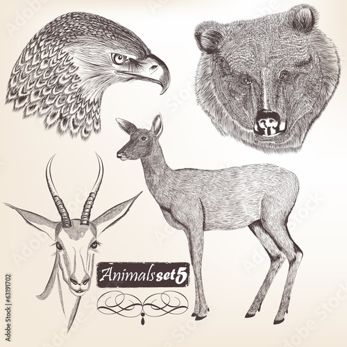Collection of vector hand drawn animals