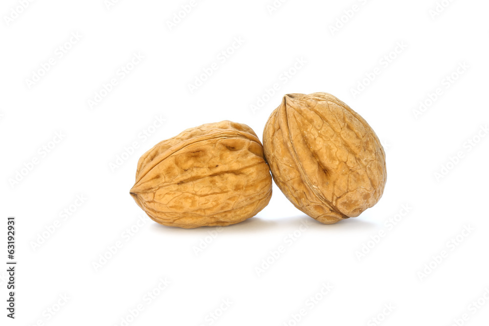Walnuts on the withe background Walnuts on the withe background