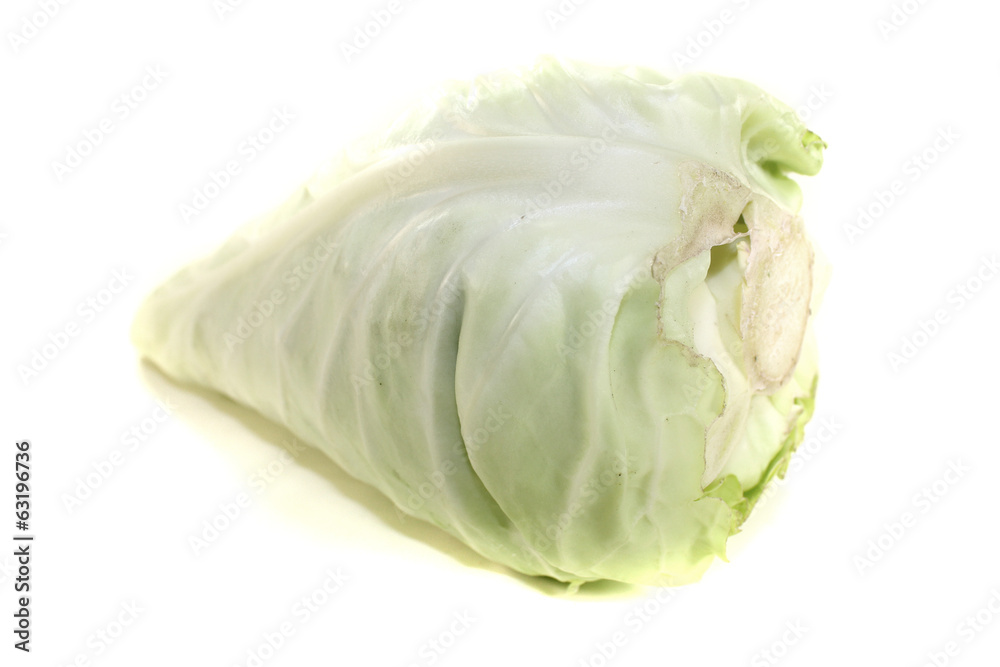 grüner Spitzkohl grüner Spitzkohl