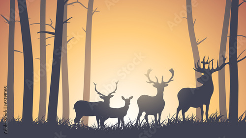 Horizontal illustration of wild animals in wood.