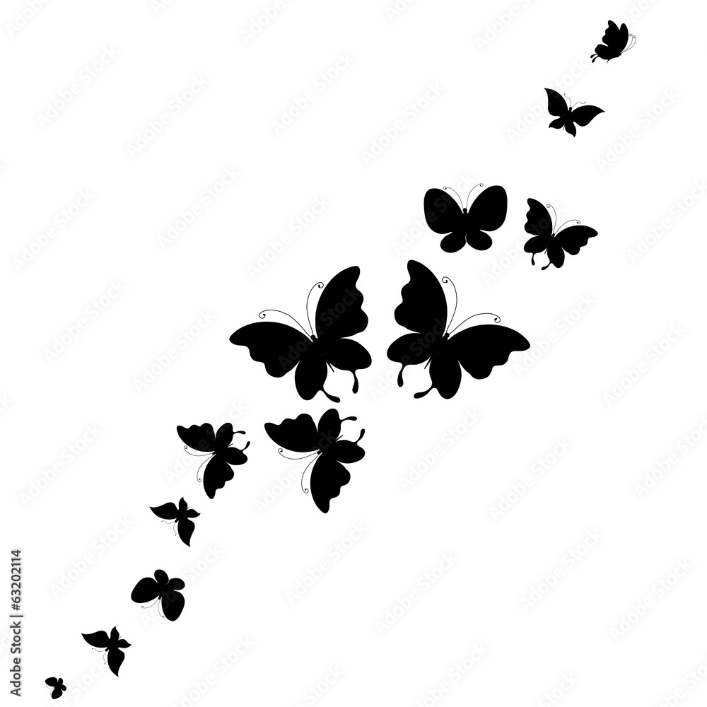 butterflies design