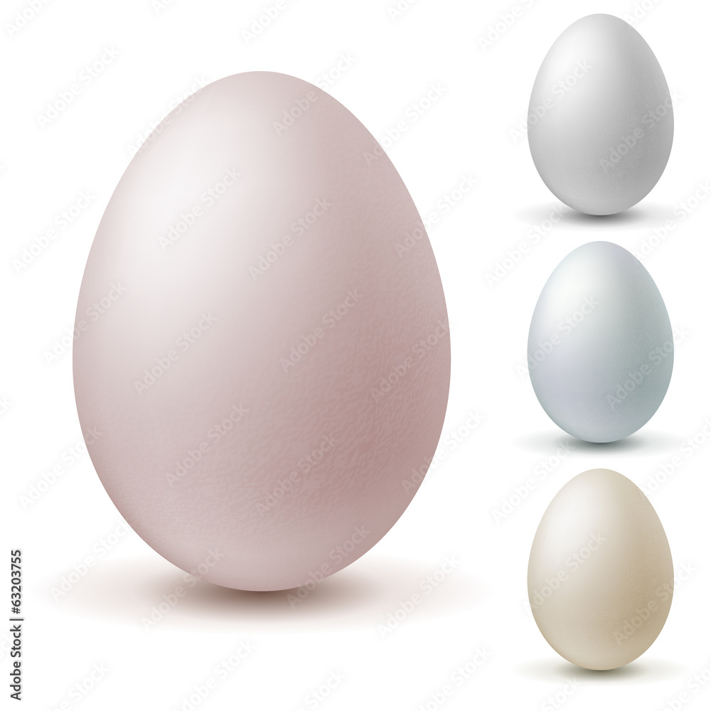 Set of eggs of different colors on a white background, icon eggs Set of eggs of different colors on a white background, icon eggs