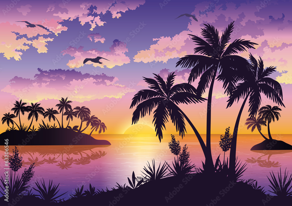 Tropical islands, palms, sky and birds