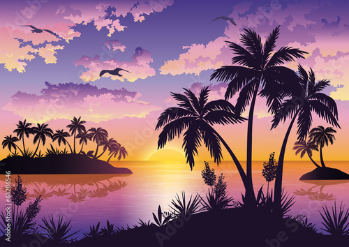 Fototapeta Naklejka Na Ścianę i Meble -  Tropical islands, palms, sky and birds