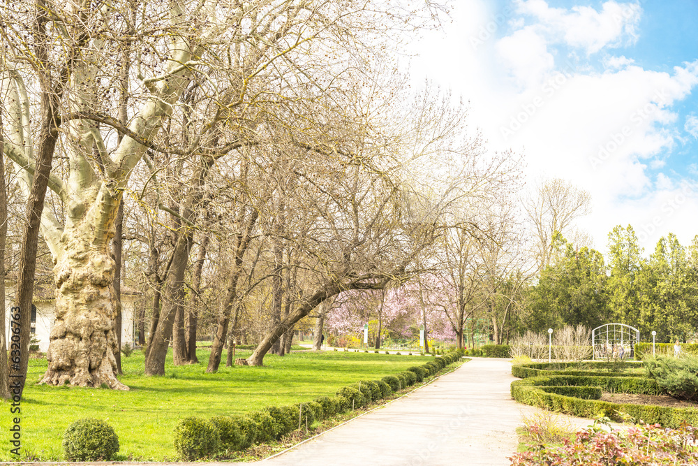 spring landscape park