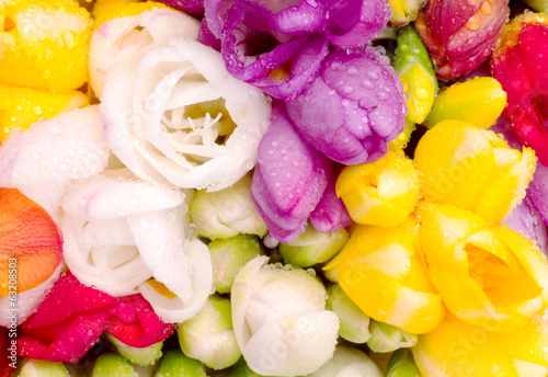 freesia colorful bouquet